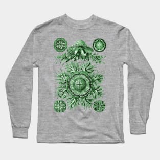 Ernst Haeckel Discomedusae Jellyfish Plate 28 Green Long Sleeve T-Shirt